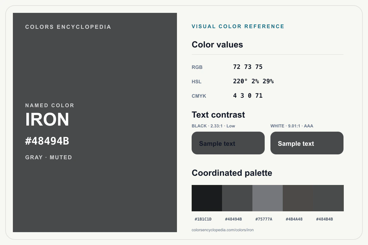 Iron color reference infographic showing #48494B, RGB and HSL values, a coordinated palette, and black and white text contrast.